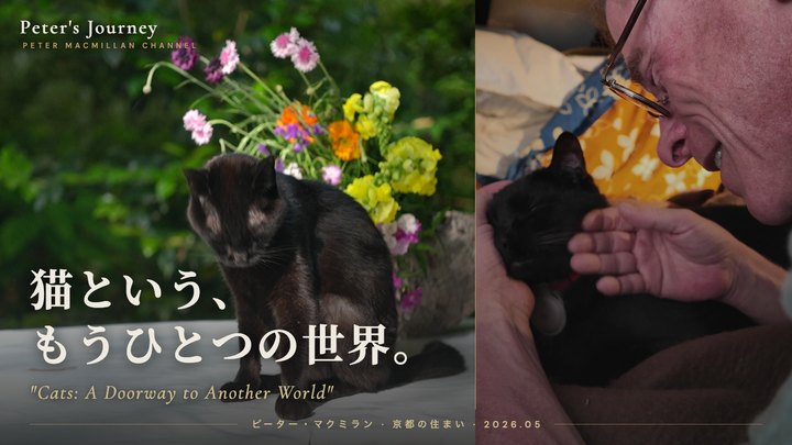 猫という、もうひとつの世界