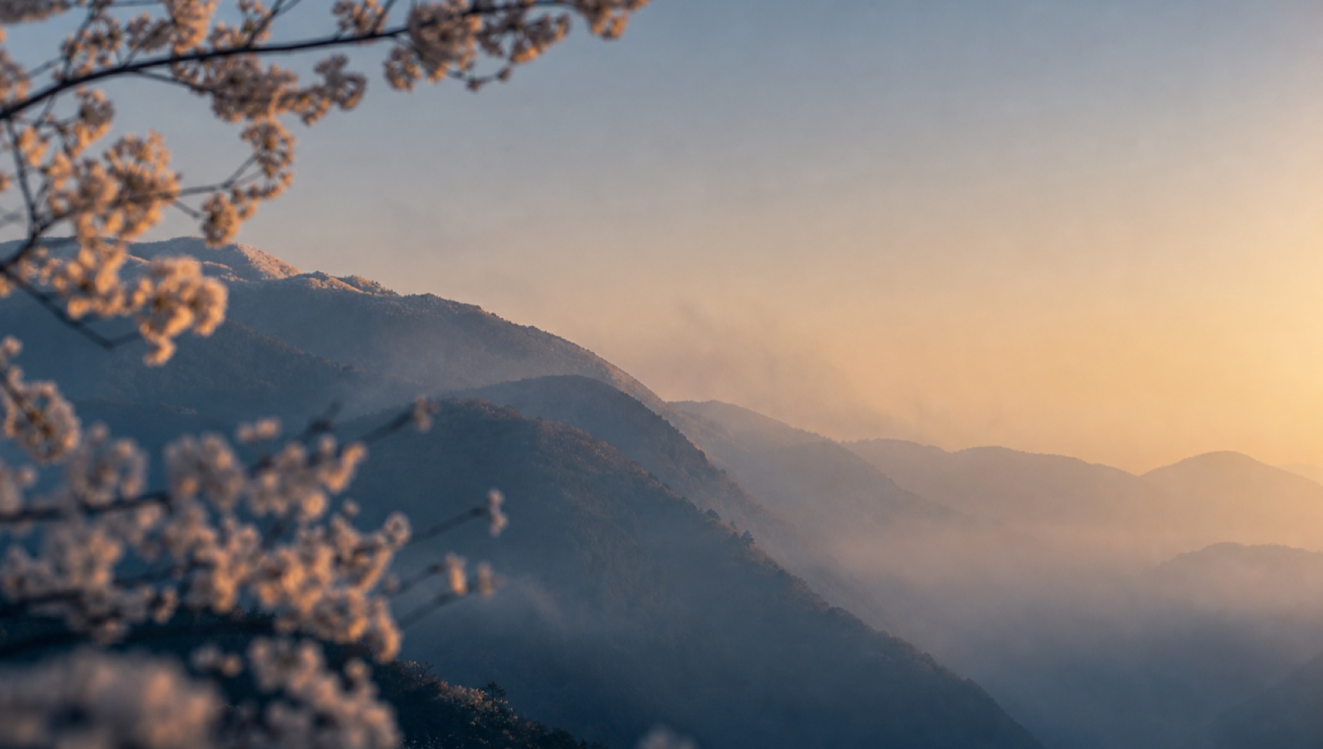 嵐山の桜と霞に包まれた山並み、夕暮れの空